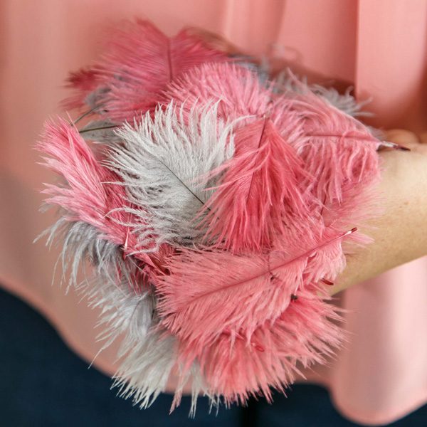 Cape Karoo Ostrich Emporium Feathers