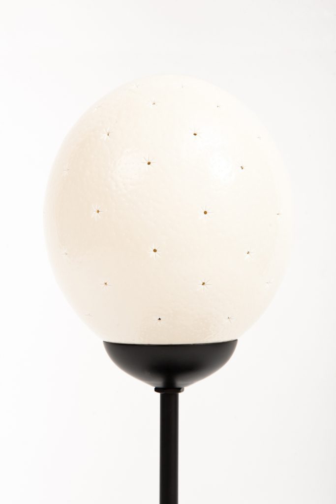 Ostrich Carved Egg Stars All Over