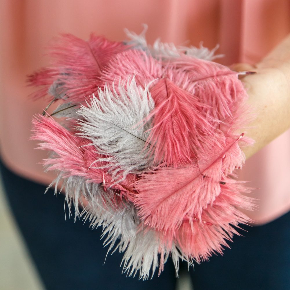 ostrich feathers