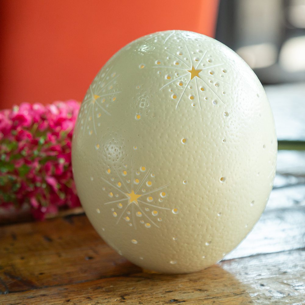 ostrich egg